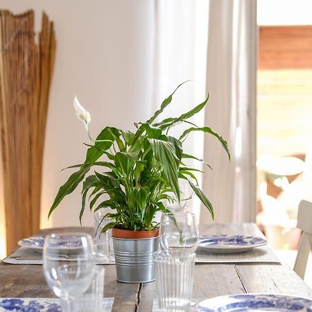 Spacious Apartment With Big Terrace At Colosseum ローマ エクステリア 写真